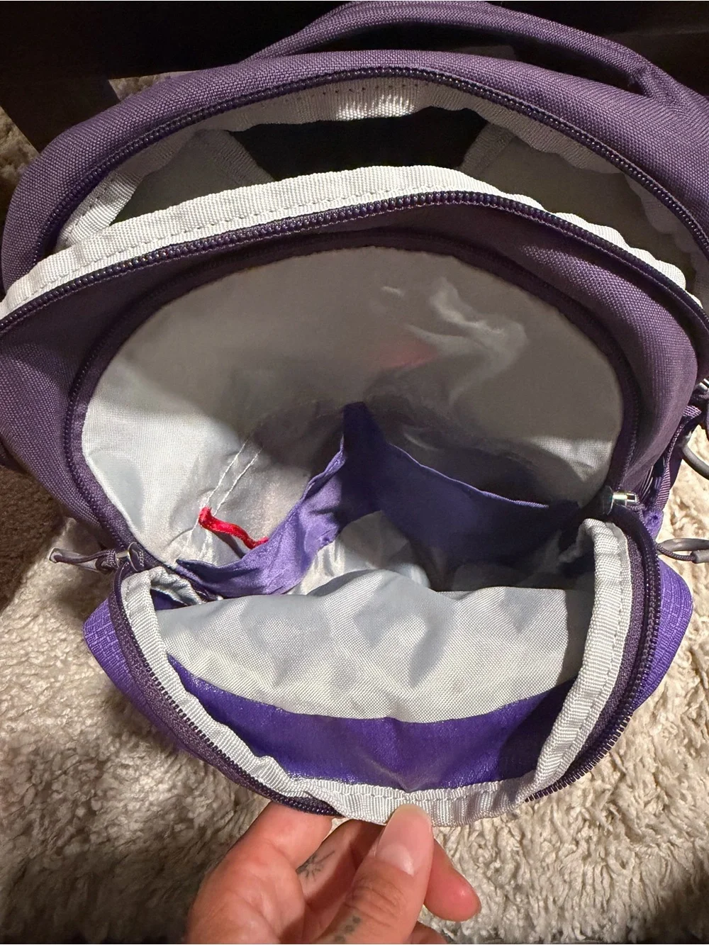 OSPREY Daylite Backpack in Bright Purple and Dark Purple